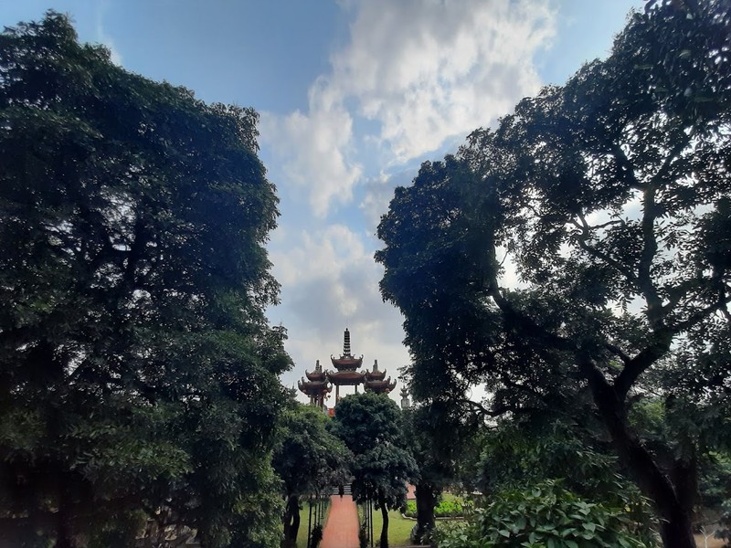 Cây tùng cổ 700 tuổi tỏa bóng mát che chùa Linh Sơn ảnh 4