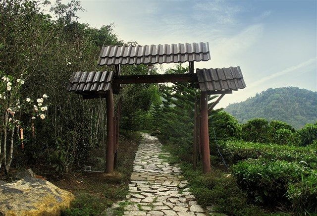 Lâm Đồng: Ngôi chùa trên mây đẹp đến ngỡ ngàng ảnh 2