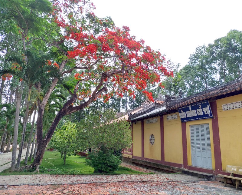 Tìm hiểu về các tôn tượng tại chùa Bửu Hưng ảnh 6