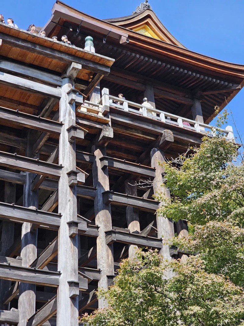 Độc đáo kiến trúc gỗ không dùng đến đinh trong ngôi chùa cổ ở Nhật Bản ảnh 4