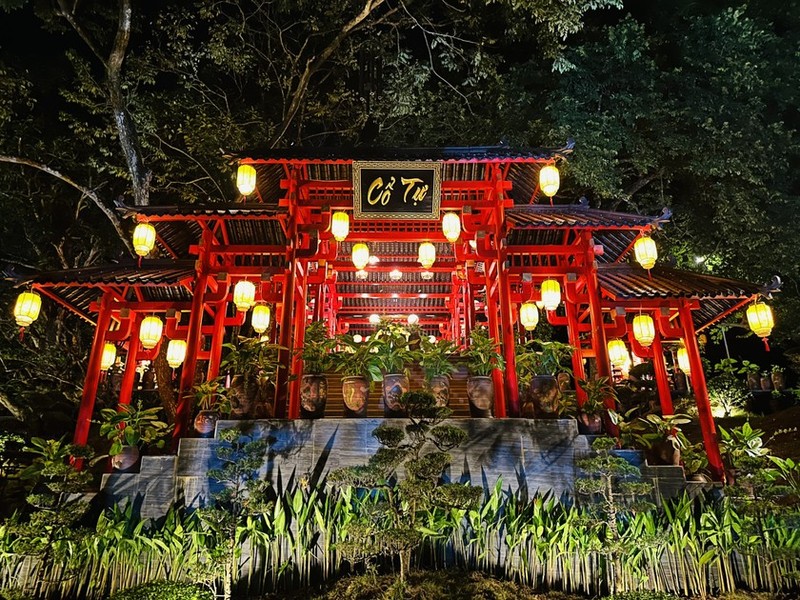 Ngôi chùa cổ bình yên có cây thị gần 400 năm tuổi linh thiêng ở Hà Nam ảnh 1