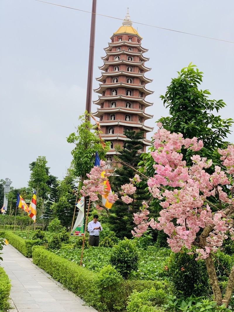 Chùa Hổ Sơn: Dấu ấn cuộc đời công chúa Huyền Trân ảnh 3