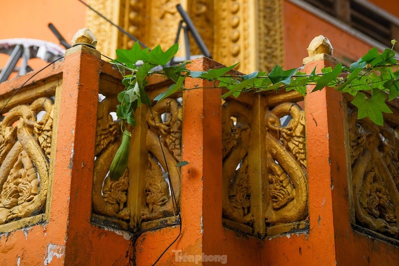 Độc đáo ngôi chùa ở TP HCM với nhiều tượng rắn ảnh 11