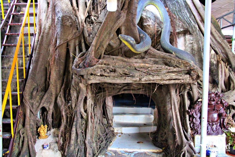 Kỳ bí về chiếc hang có tượng đôi rắn trong ngôi chùa nổi tiếng ở TPHCM ảnh 3