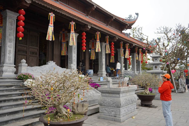 Ngôi chùa có pho tượng Phật đúc từ 15 tấn đồng ở Hải Phòng ảnh 1