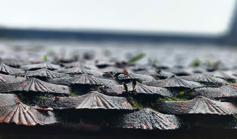 Ngắm những cổ vật quý trong ngôi chùa 400 năm tuổi ở Thái Nguyên ảnh 2