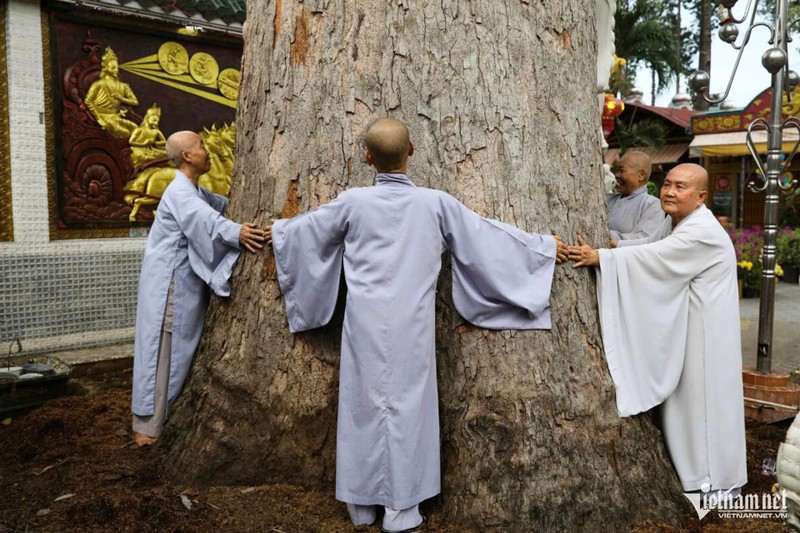 Chùa cổ trên cù lao ở Đồng Nai lưu giữ 'báu vật' hơn 300 tuổi ảnh 3