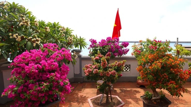 Chùa Đá Tây A lặng lẽ tựa đóa sen bung nở nơi đảo xa ảnh 7