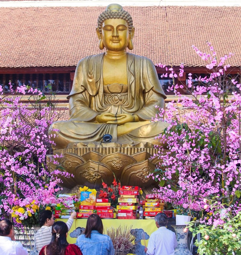 Về Hà Tĩnh, ngắm cổng tam quan độc đáo ở ngôi cổ tự nghìn năm tuổi ảnh 11