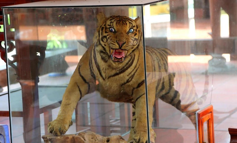 Ngôi chùa nằm giữa cánh đồng thờ hai 'ông Hổ' ở một xã đảo ảnh 1