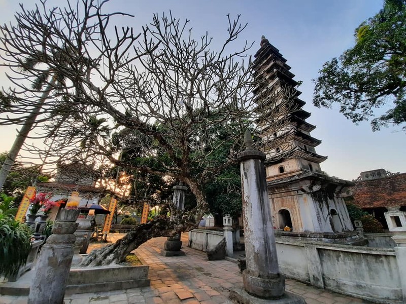 Chùa Phổ Minh - ngôi chùa tháp bằng gạch cao nhất Việt Nam ảnh 1