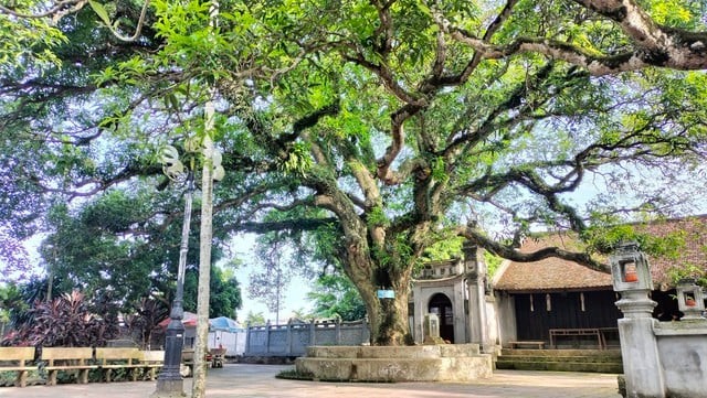 Chùa Phổ Minh - ngôi chùa tháp bằng gạch cao nhất Việt Nam ảnh 2