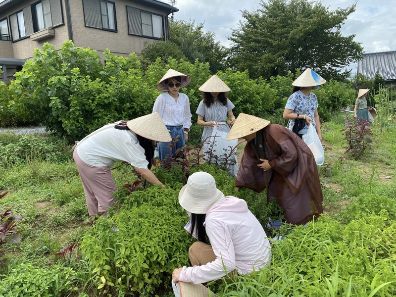 Đại sứ Phạm Quang Hiệu đến thăm Chùa Đại Ân Honjo, Nhật Bản ảnh 7