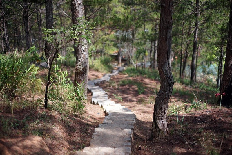 Chùa Linh Phong: Ngôi chùa mang vẻ đẹp đậm chất Đà Lạt ảnh 16