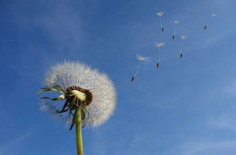 Hiểu về sự vô thường của cuộc đời để biết trân quý từng phút giây trong cuộc sống ảnh 1