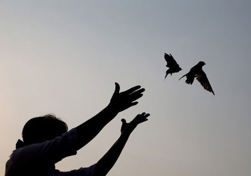 Lời Phật dạy về những việc cha mẹ cần làm để mang lại phúc đức cho con cái ảnh 2