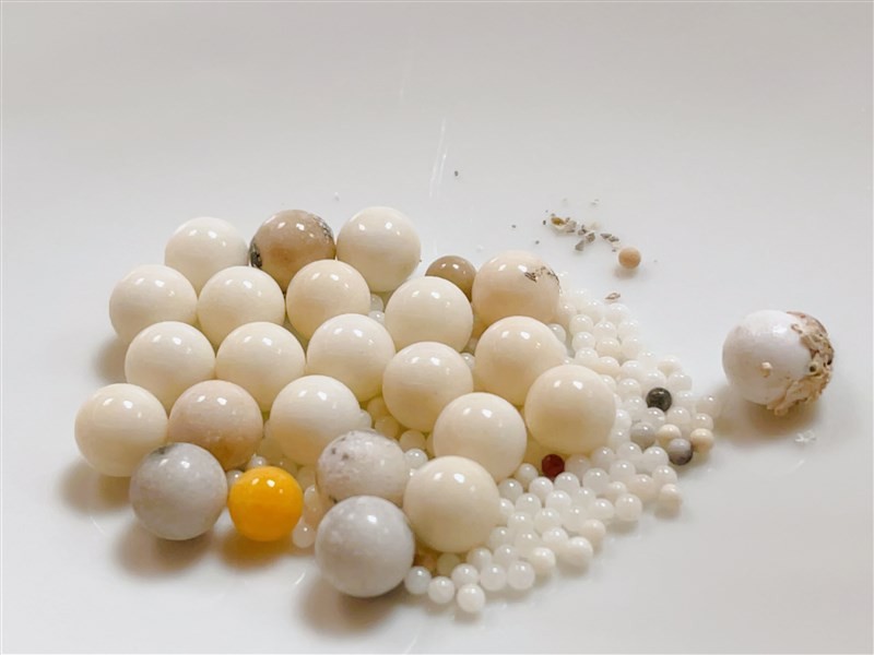 Chiêm ngưỡng xá lợi của Đại lão Hoà thượng Tinh Vân ảnh 1