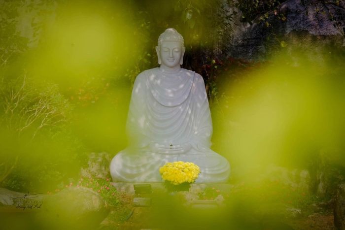 Chùa Vạn Linh: Chốn bình yên giữa thiên nhiên kỳ vĩ trên đỉnh núi Cấm ảnh 4