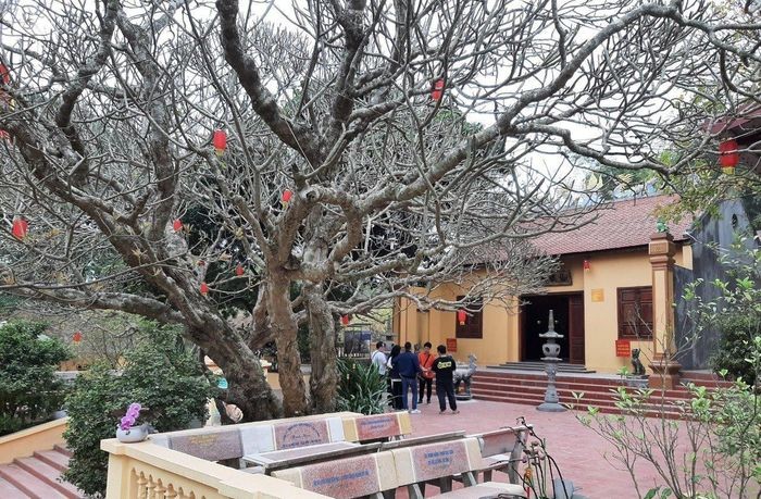 Chùa Bắc Nga: Ngôi cổ tự nơi 'dòng sông chảy ngược' ảnh 1