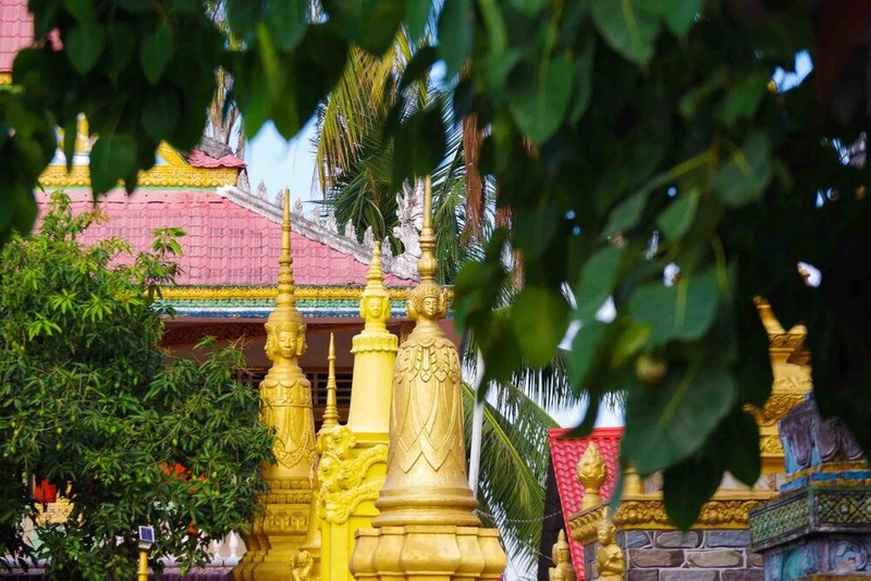 Độc đáo ngôi chùa màu hồng nằm giữa hàng trăm cây còng ở An Giang ảnh 4