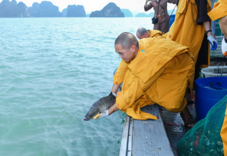 Phóng sinh như thế nào cho đúng cách? ảnh 1