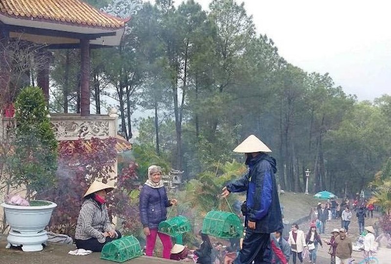 Thừa Thiên Huế khuyến cáo GHPGVN tỉnh không mua bán chim hoang dã để phóng sinh ảnh 1