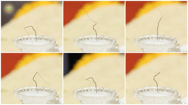 Ban Tôn giáo Quảng Ninh làm việc với chùa Ba Vàng về việc xá lợi tóc Đức Phật tự chuyển động ảnh 1