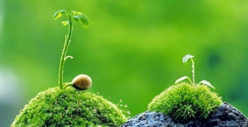 Đừng chèn ép chính mình ảnh 1