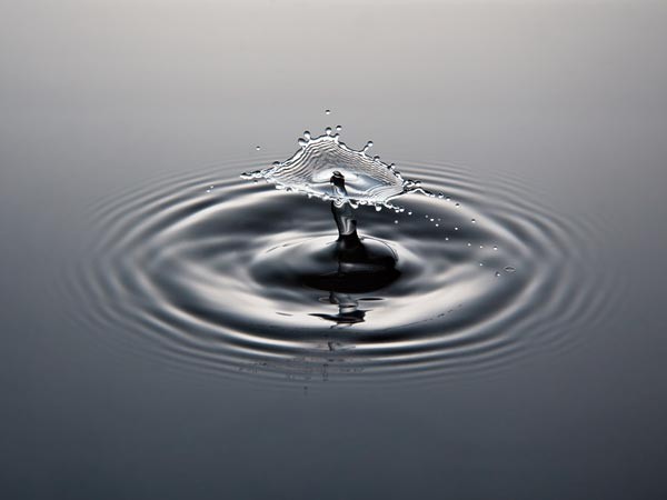 Bảy tình trạng của cuộc sống ảnh 1