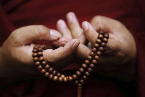 Chân lý của cuộc sống Tứ chánh cần ảnh 1