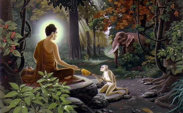 Ý nghĩa tụng kinh Dược Sư và niệm Phật Dược Sư ảnh 1