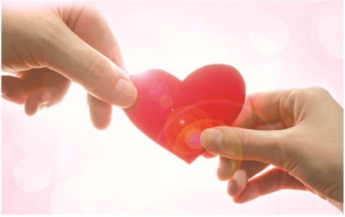 Tình thương là linh dược ảnh 1