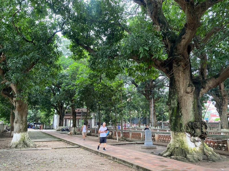 Khám phá Chùa Láng, di tích lịch sử văn hoá gần 900 năm tuổi ảnh 16