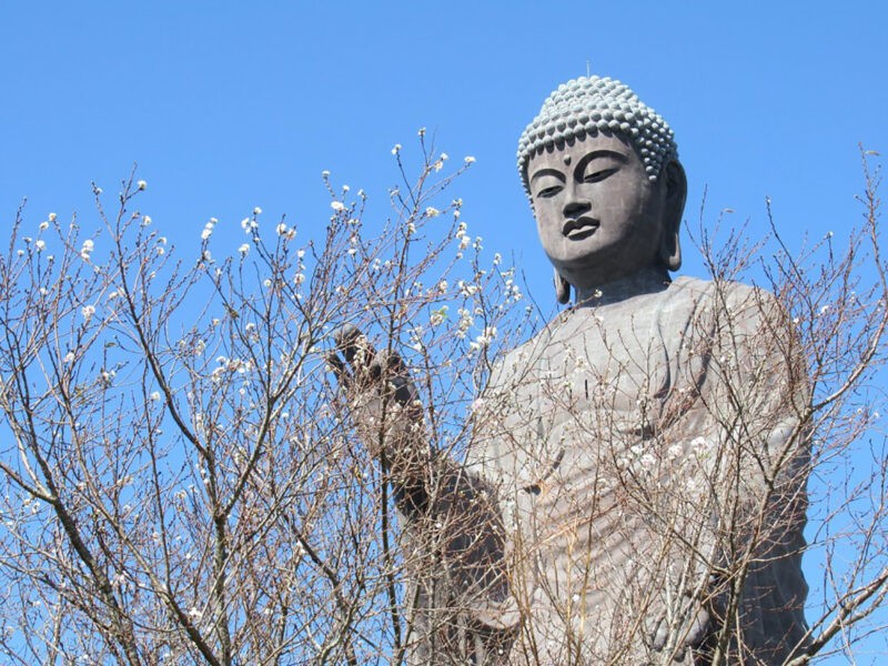 Không lệ thuộc vật chất - không nghĩ thiện - không nghĩ ác ảnh 1