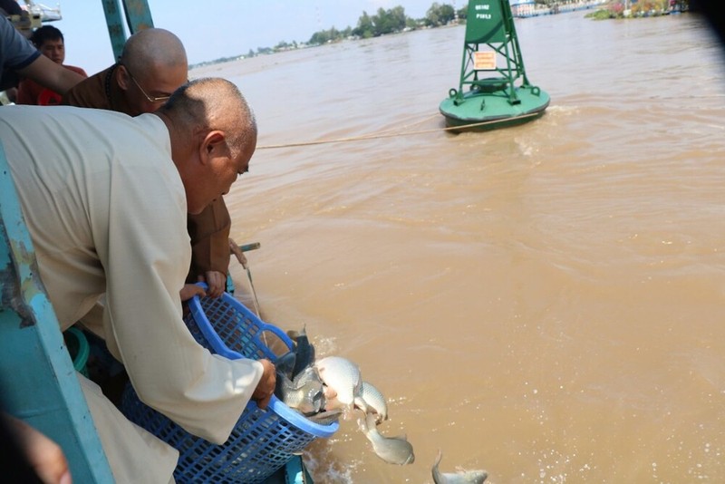 Thả cá phóng sinh tại thành phố Hồng Ngự, Đồng Tháp ảnh 1