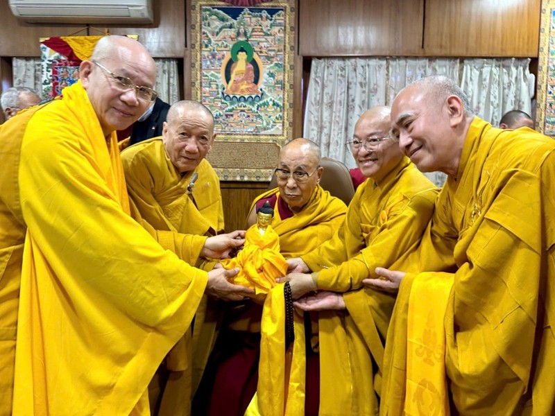 Đoàn Phật giáo Việt Nam đảnh lễ Đức DaLai LaMa tại Dharamshala, Ấn Độ ảnh 1