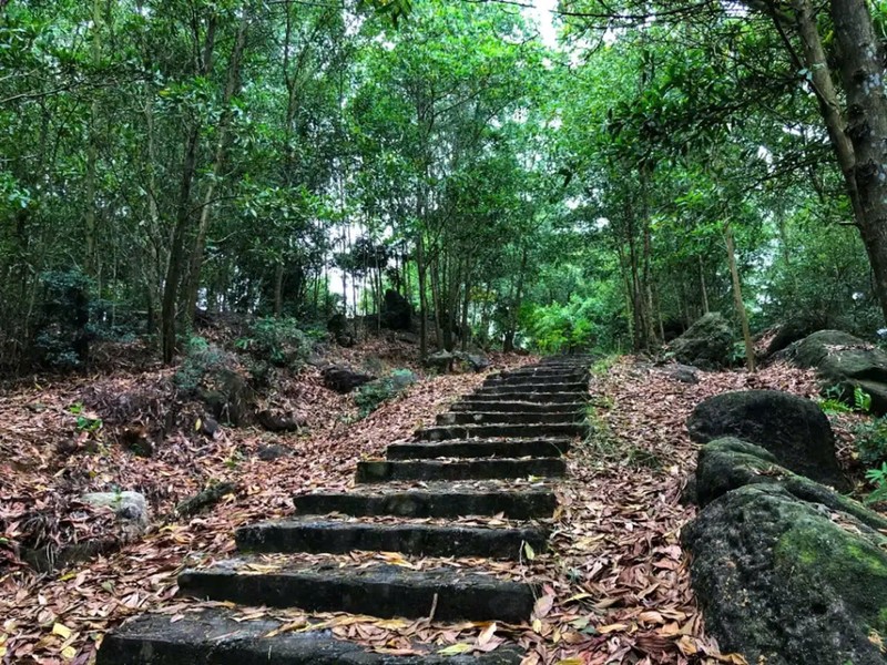 Bổ Đà: Ngôi chùa có kiến trúc đậm đà bản sắc văn hóa Việt ảnh 3