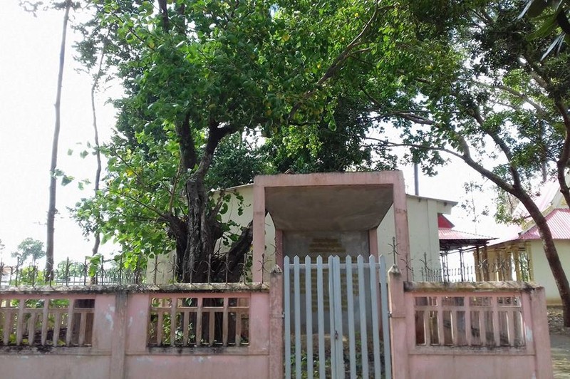 Ngôi chùa có mộ cá voi hơn 10 tấn ảnh 2