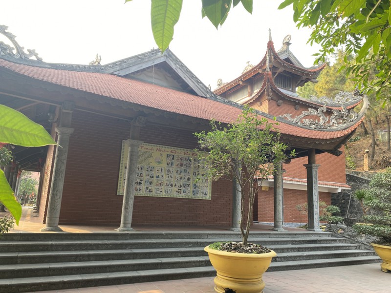 Cây tùng cổ 700 tuổi tỏa bóng mát che chùa Linh Sơn ảnh 3