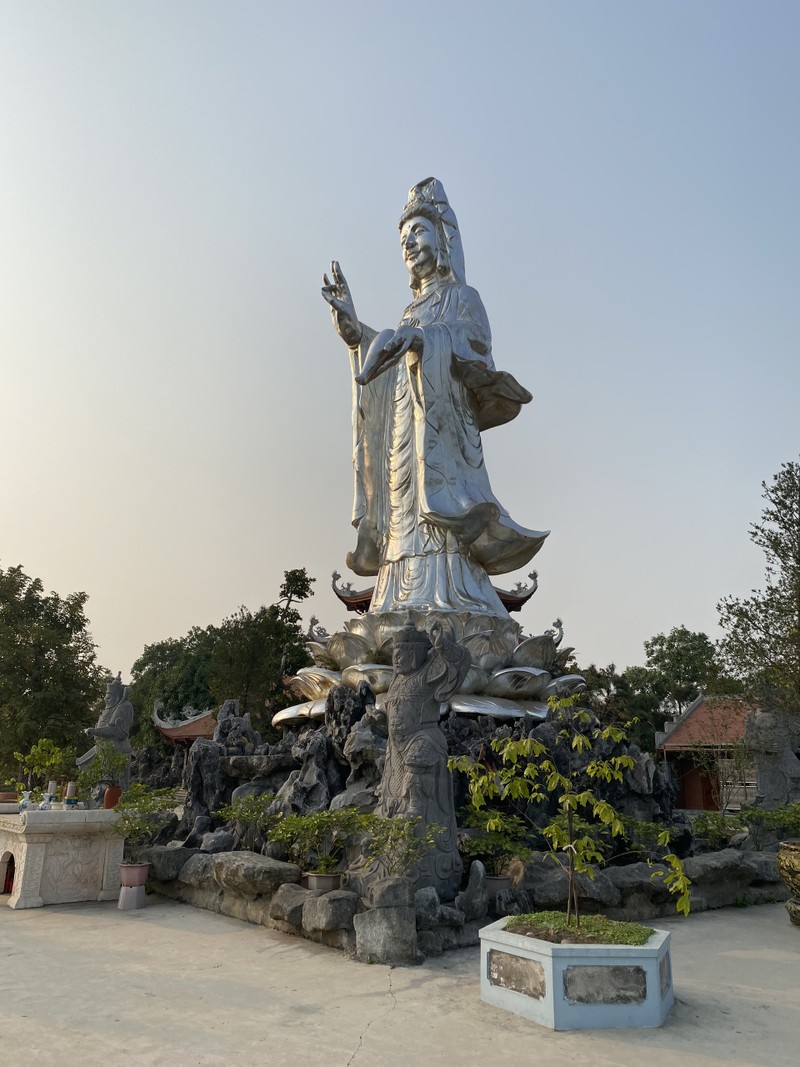 Cây tùng cổ 700 tuổi tỏa bóng mát che chùa Linh Sơn ảnh 2