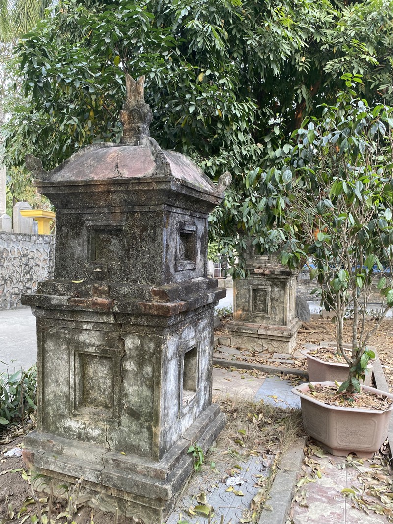 Cây tùng cổ 700 tuổi tỏa bóng mát che chùa Linh Sơn ảnh 13