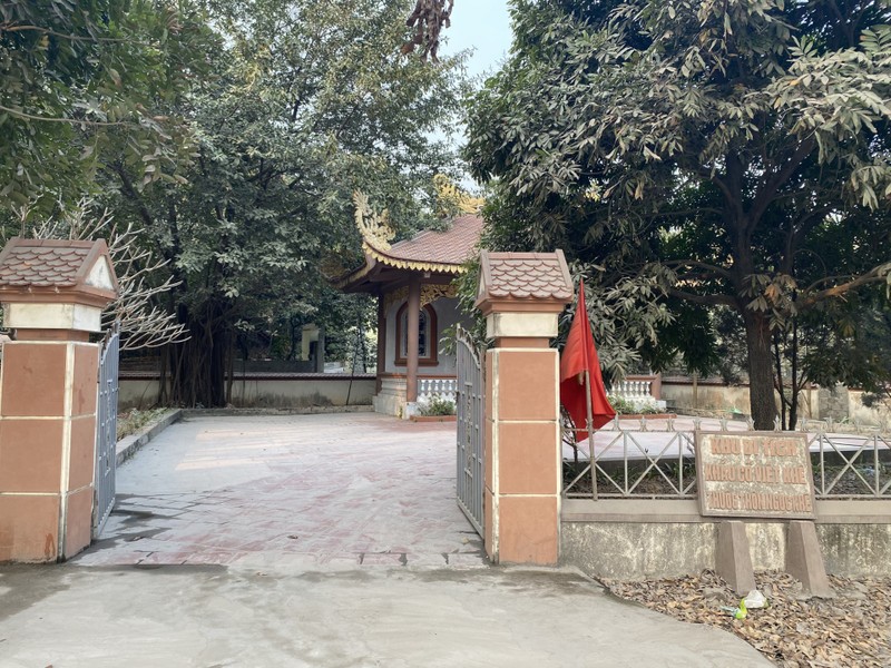 Cây tùng cổ 700 tuổi tỏa bóng mát che chùa Linh Sơn ảnh 14