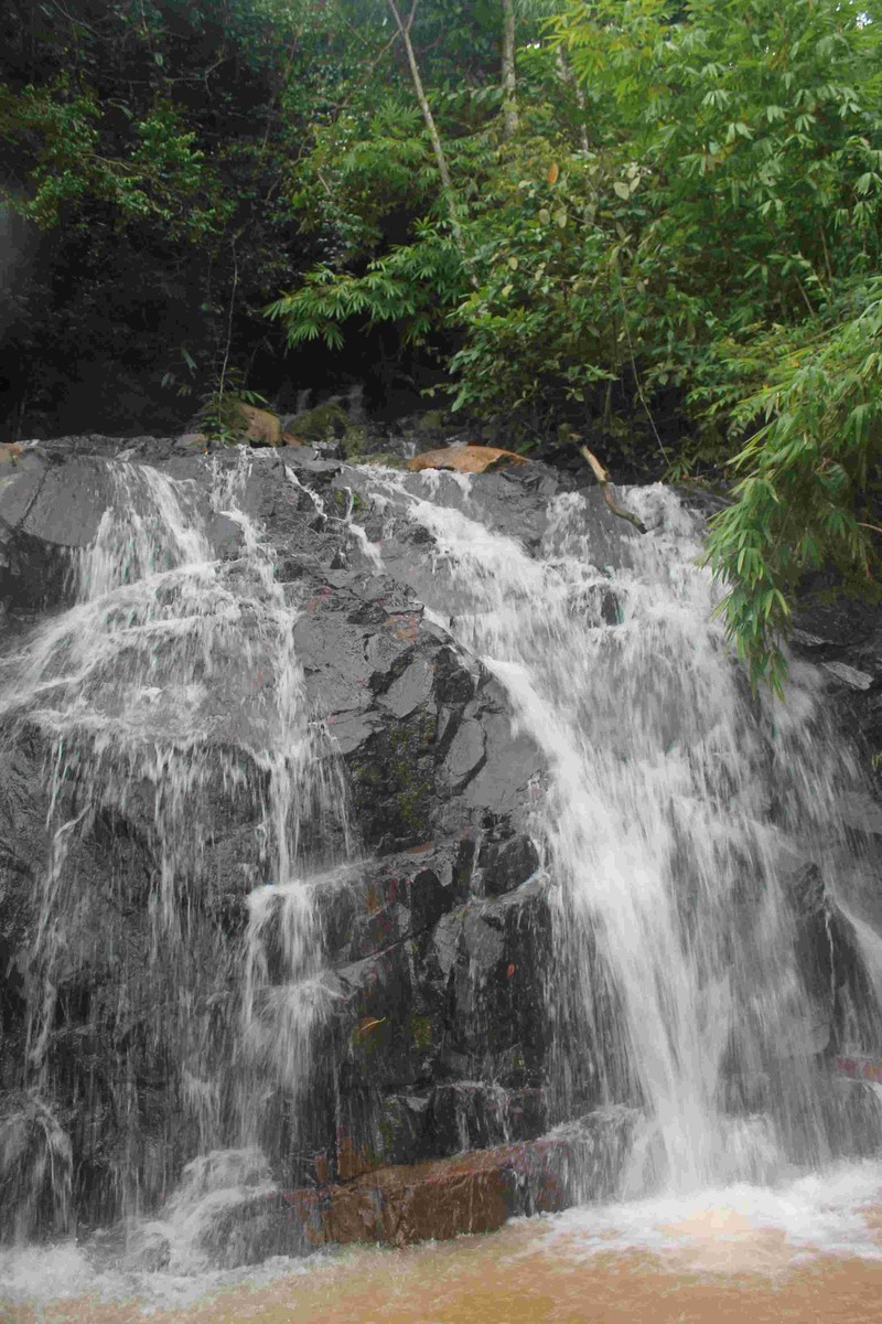 Chùa Linh Phú : Khám phá ngôi chùa lâu đời nhất Đồng Nai ảnh 4