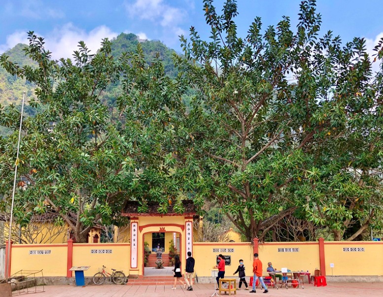 Chùa Sùng Phúc - Ngôi cổ tự ở huyện Hạ Lang, tỉnh Cao Bằng ảnh 2