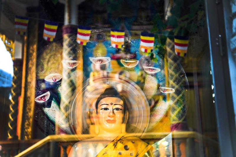 Độc đáo ngôi chùa ở TP HCM với nhiều tượng rắn ảnh 1