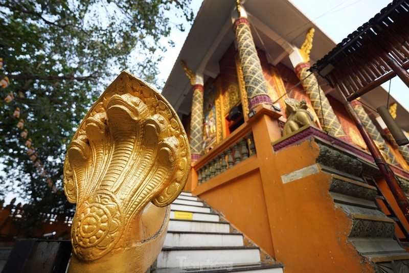 Độc đáo ngôi chùa ở TP HCM với nhiều tượng rắn ảnh 5