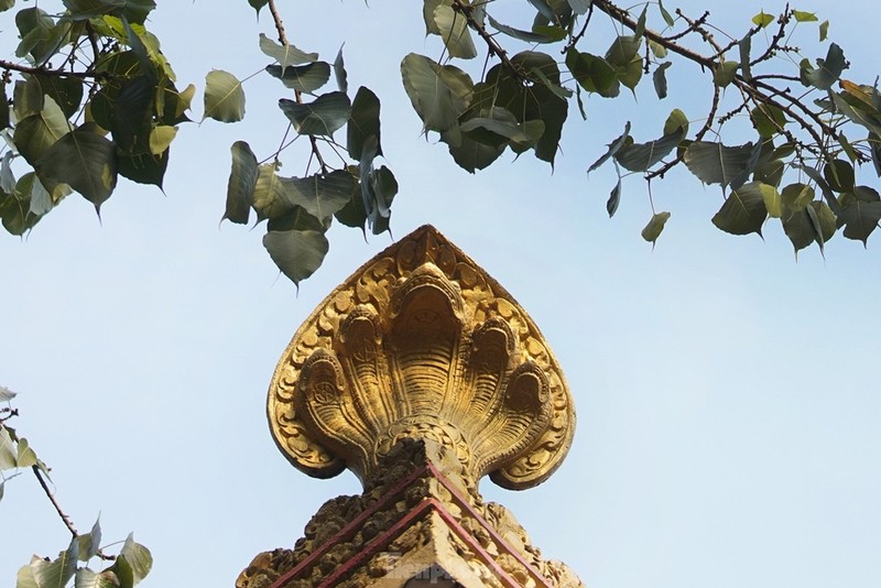 Độc đáo ngôi chùa ở TP HCM với nhiều tượng rắn ảnh 6