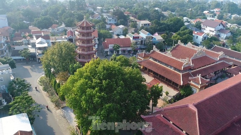 Vẻ đẹp thanh tịnh của chùa Từ Đàm cổ kính giữa cố đô Huế ảnh 4