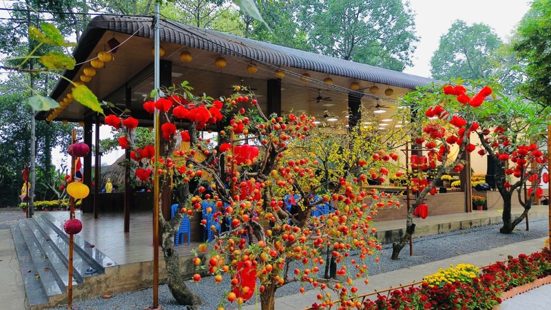 Thăm chùa Pháp Bảo - điểm hẹn tâm linh tại Biên Hòa ảnh 8