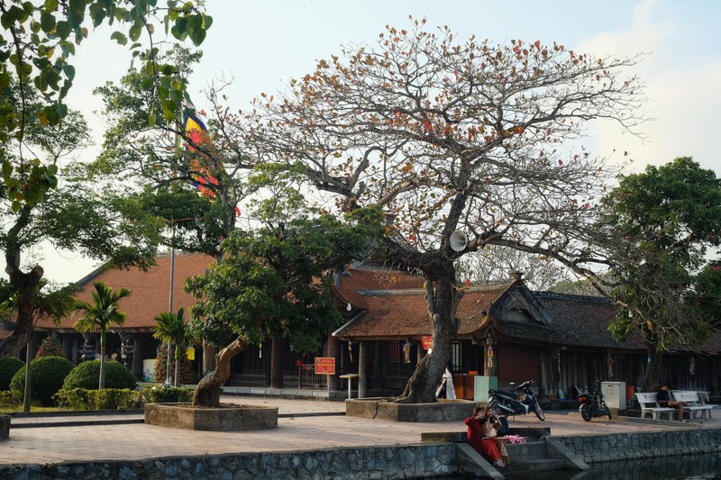 Đầu năm cùng chiêm bái ngôi chùa cổ lưu giữ 2 'báu vật' quốc gia ở Thái Bình ảnh 3